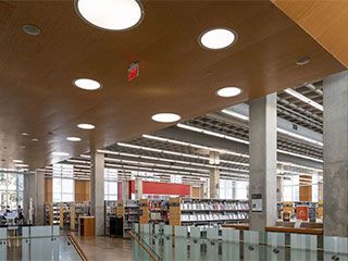Library ceiling architecture