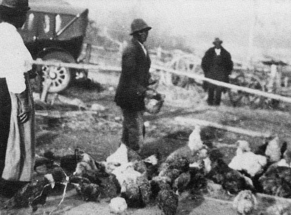 Image of black man feeding chickens 