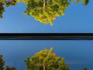 Trees reflecting of glass panes of library