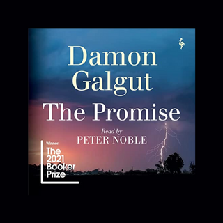 A blue and purplenightsky with a lightning bolt striking the ground from the clouds. The author's name Damon Galgut and the title The Promise in big font in the middle.